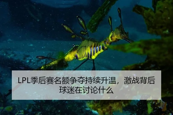 LPL季后赛名额争夺持续升温，激战背后球迷在讨论什么 - leyu